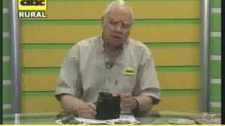 Propiedades de la Moringa