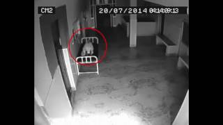 Выход призрака из трупа заснят на камеру видео наблюдения | Душа покидает мертвое тело