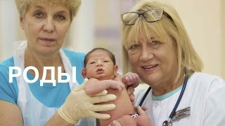 Роды || ОВП