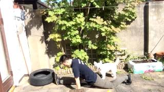 Spilts Tutorial Part 2 | Shaolin Kung Fu - Master Yan Xin