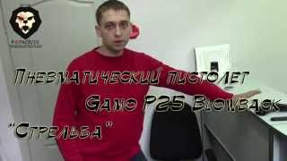 Пневматический пистолет Gamo P25 Blowback полное видео