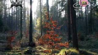 ІВАНКУ, ІВАНКУ — караоке Українська народна пісня Ukrainian folk song karaoke