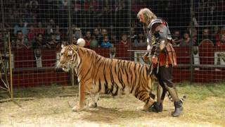 Foto cirkus joo.