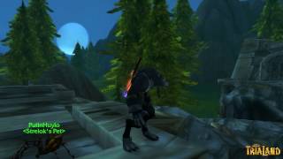Китайский World of Warcraft. 10-19 PVP Survival Hunter