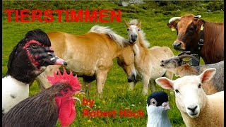 Für kleine Kinder: Tiere auf dem Bauernhof mit Naturgeräuschen, ganz ohne Musik! Tierstimmen Video