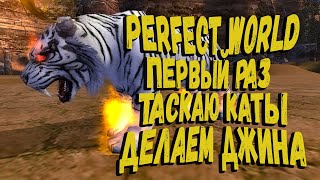 PERFECT WORLD ПЕРВЫЙ РАЗ ТАЩУ КАТУ ТОПОВОЕ ГВГ ЗА ТАНКА ДЕЛАЕМ ДЖИНА
