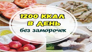 1200 ККАЛ В ДЕНЬ без заморочек/Худею