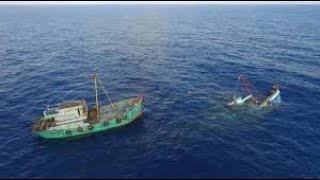 Viral !! Kapal vietnam mencuri ikan dilaut indonesia, dimanakah para aparat?