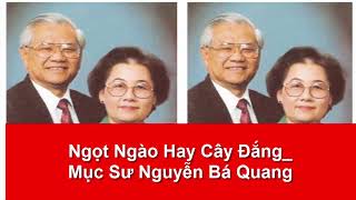 Ngọt ngào hay cây đắng ( giảng luận ) Mục sư Nguyễn Bá Quang