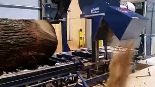 Eichenstamm wird gesägt
