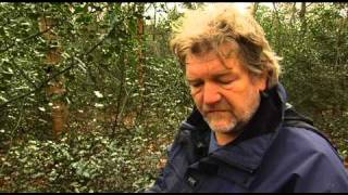 Pronkjewailtjes [1-3-2011]