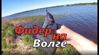 Рыбалка на верхней Волге, фидер, май 2019