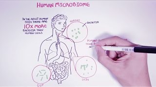 Hungry Microbiome: Gut Microbiome