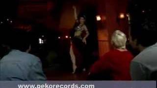 Jillina Instructional Bellydance Level 1
