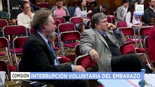 PLENARIO INTERRUPCIÓN VOLUNTARIA DEL EMBARAZO 18-07-18