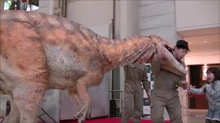 DINO A LIVE フクイラプトル襲来 @ゲートシティ大崎【JPN SUB】