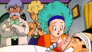 Who'd Have Thought? (A Bulma x Vegeta AMV)