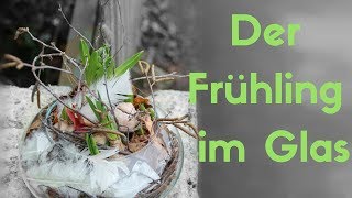 Der Frühling im Glas - DIY - Wundervolle Frühlingspflanzen im Glasgefäss - Frühlingsfloristik 2018
