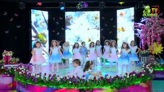 Lollipops - Primavara