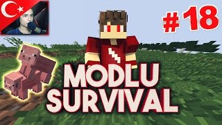 Minecraft Modlu Survival - Bölüm 18 - SİZİ GİDİİİİ :D