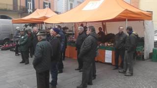 Mercato contadino a pieni giri