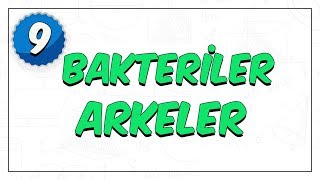 9.Sınıf Biyoloji | Bakteriler- Arkeler