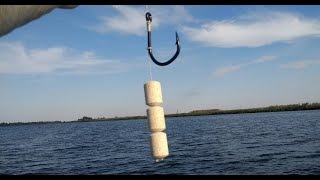 Рыбалка на ПЛАНКТОН и море бесплатных приманок для вас