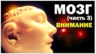 Галилео. Мозг (часть 3): Внимание