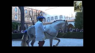 Association d'Art Equestre Classique Français Sacha Bravard Dressage