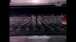 Изготовление матрасов в Кишинев (Молдова) - www.salteco.md