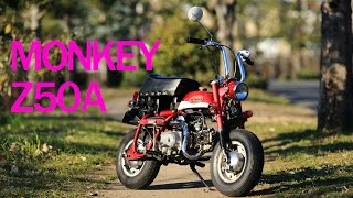 Honda Monkey Z50A (Z50Z) Motorcycle Photography