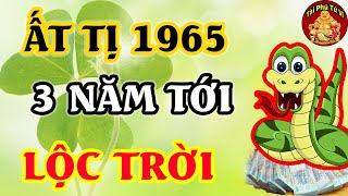 Tiết Lộ Chấn Động Tử Vi Tuổi Ất Tị 1965 Đổi Đời Giàu Có Tiền Tiêu 3 Đời Không Hết