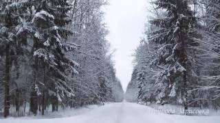 Зимний лес, дорога в снегу, красивая природа зима, засыпало снегом зимняя дорога музыка