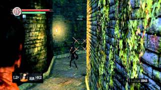 Dark Souls Pyromancer Walkthrough Part 7(Capra Demon Boss)