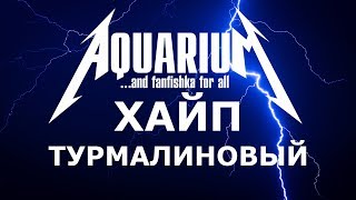 Турмалиновый хайп и электричество в жизни аквариумных растений