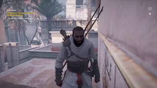 Прохождение сюжета Assassin creed Origins (Кредо убийцы : Истоки)- Часть 8