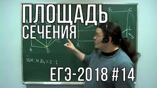 Площадь сечения | Задание 14. Математика. ЕГЭ-2018. Профильный уровень | Борис Трушин