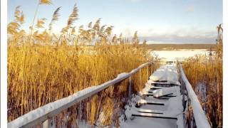 Детские новогодние песни клипы   Зима