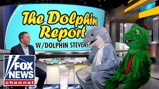 Dolphin Stevens talks to Greg about 'The Gutfeld Monologues'