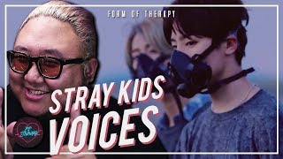 Producer Reacts to Stray Kids "Voices"