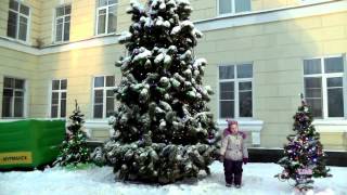 Новогодний Мурманск. My City.