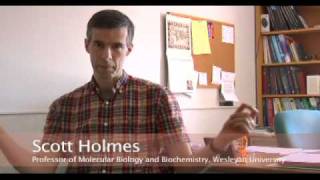 The Two Faces of Yeast