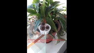 самокаты как сделать пылящий поп ап и чем заменить cork ball шарик из пробки