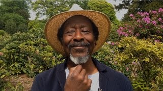clarke peters on utopia