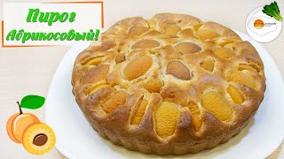 Пирог с абрикосами – простой рецепт очень вкусного пирога (apricot cake)