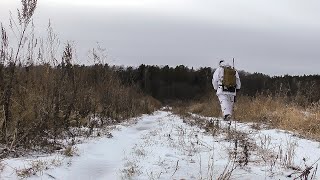 Одиночная охота на зайца | Рябчик крупным планом | Эко-туризм 2020