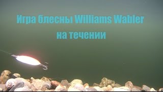 Игра блесны Williams Wabler 21гр. Подводная съемка!