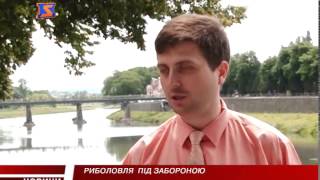 Закидати вудочку в межах Ужгорода не дозволяють