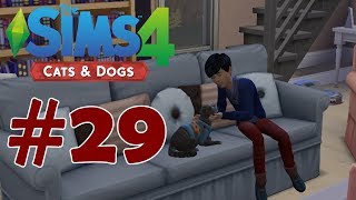 Hayvanlarla İlgilenmek | The Sims 4 Cats & Dogs #29
