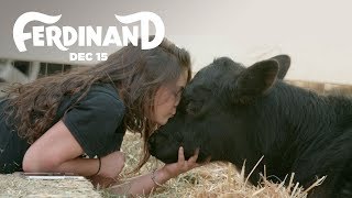 Ferdinand | The Gentle Barn Rescues A Bull | Fox Family Entertainment